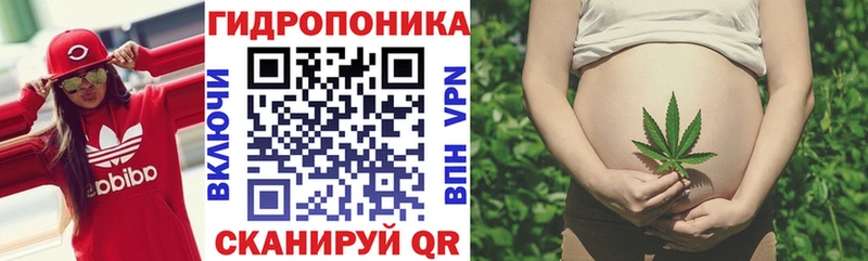 Продажа наркотиков Заинск Alpha-PVP  Меф мяу мяу  Канабис  Кокаин 