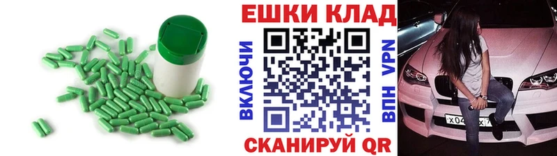 дарнет шоп  Заинск  Экстази диски 