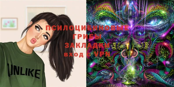 герыч Горняк
