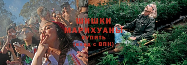 первитин Тавда
