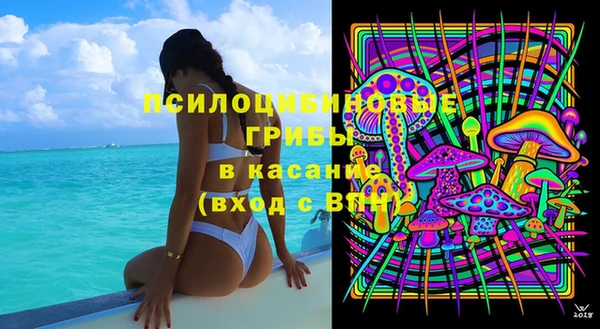 apvp Горно-Алтайск