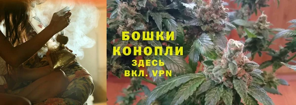 ECSTASY Вяземский