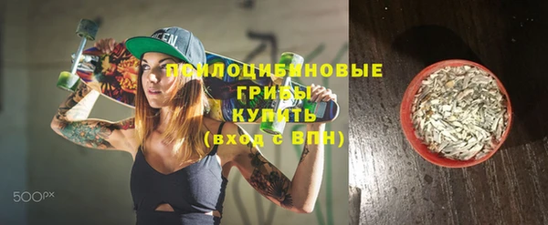 mdpv Гусев