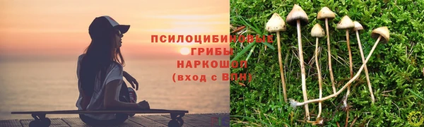 apvp Горно-Алтайск