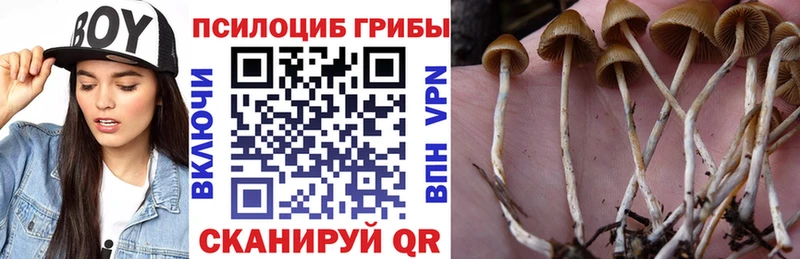 Псилоцибиновые грибы прущие грибы Заинск